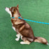 5 FT Slip Lead Dog Leash, Heavy Duty Rope Leash for Small Medium Large Dogs, No Pull Training Lead with Reflective Thread, Strong Comfortable Loop...
