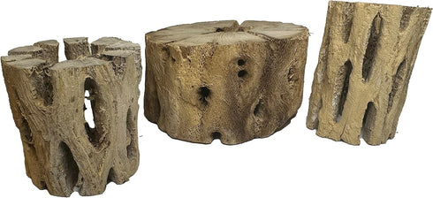 3 Natural Cholla Wood Air Plant Display Holders 2 inch Individually Unique Round Decorative Stands...