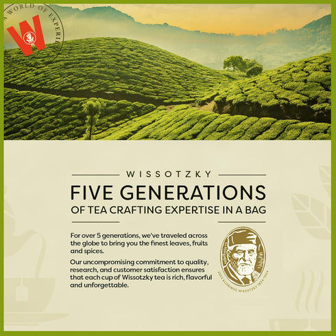 Wissotzky Lemongrass & Verbena Green Tea, 20 Tea Bags | Soothing Aroma | Antioxidant Rich | Refreshing Green Tea Bags...