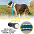 Heavy Duty Bungee Dog Leash 6 ft - 7.5 ft for Large and Medium Dogs | No Pull, Reflective, Tactical Dog Leash | Soft Neoprene Padded Double Handle...