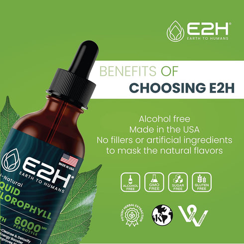 E2H Chlorophyll Liquid Drops - All-Natural Flavored Energy Booster, Immune System Support and Internal Deodorant - Vegan - Gluten Free - Non-GMO -...