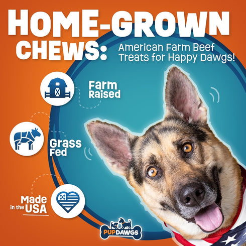 Beef Liver Dog Treats | Hickory Smoked Flavor Liver Treats for Dogs Made in The USA | Nutritious Dog Liver Treats | All-Natural Dehydrated Liver D...
