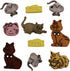 Buttons Galore 50+ Assorted Pets Buttons for Sewing & Crafts - Set of 6 Button Packs...