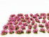 Cayway 159 PCS Static Grass Tuft Model Grass Tufts Railway Artificial Grass 3 Color Bushy Tuft Flower Cluster Vegetation Groups for DIY Architectu...