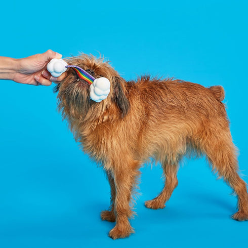 Barkbox Dog Toys – Toy G BIV Rainbow Super Chewer Tug Toy for Aggressive Chewers with Double Reinforced Strap and Tough Rubber Clouds – Large...