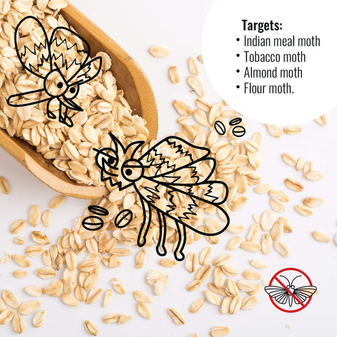 Pantry Moth Trap 6-Pack - Pantry Moth Glue Traps for House Pantry, Pantry Moth Traps for Food and Cupboard Moths, Pantry Moth Traps with Pheromone...