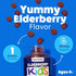 Feel Great Vitamin Co. Elderberry Gummies for Kids | Immune Support | Natural Antioxidant Immune Booster | with Vitamin C and Zinc | Gluten Free &...