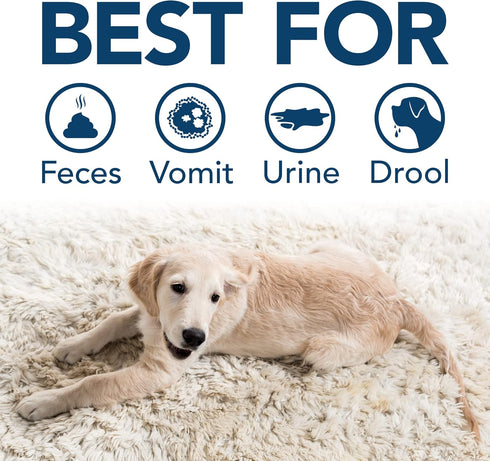 Simple Solution Extreme Pet Stain and Odor Remover | Enzymatic Cleaner with 3X Pro-Bacteria Cleaning Power | Spring Breeze, 32 Ounces...