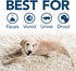 Simple Solution Extreme Pet Stain and Odor Remover | Enzymatic Cleaner with 3X Pro-Bacteria Cleaning Power | Spring Breeze, 32 Ounces...