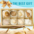 Hermit Crab Shells Accessories Conch: Natural Large Hermit Crab Supplies Sea Shell for Beach Decor Growth Turbo Seashells Hermit Crab Climbing Toy...
