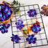 100 Pieces Blue Purple Faux Orchid Flowers Halloween Flower Day of The Dead Decoration Artificial Orchids for DIY Home Wedding Table Centerpieces ...