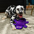 Outward Hound Durablez Tough Plush Squeaky Dog Toy, Gecko, Purple, Medium...