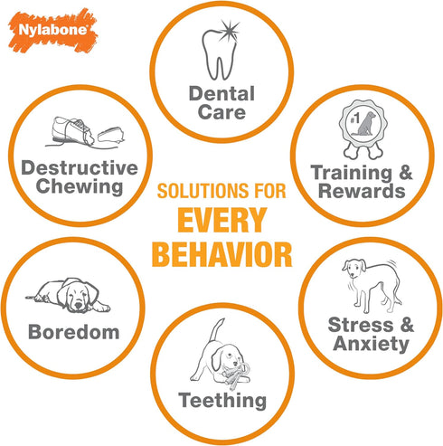 Nylabone Strong Chew Cone Stuffable Chew Toy for Dogs, Bacon Flavored Fillable Treat Toy, Small/Regular - Up to 25 Ibs. (1 Count)...