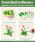 Flower Bouquet Building Decoration Set Artificial Flowers Mini Bricks Potted Sunflower Home Accessories or Best Gift Valentine Décor for Him and H...