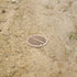 Premium USA Made 3" Inch TAN Outdoor Round Flat Drain Grate Cover - Fits All 3" Inch Sewer & Drain Pipe/Fittings, Also Fits Triple Wall Pipe & Cor...