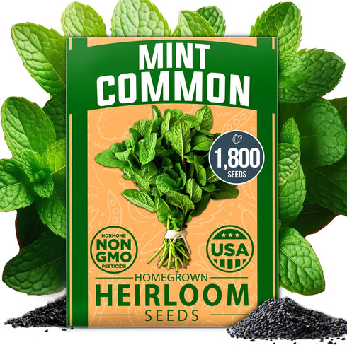Home Grown Premium Common Mint Seeds - 1800 Non-GMO Heirloom Herb Seeds, USA Sourced | Ideal for Planting Mint Seeds Outdoors or Indoors for a Fre...
