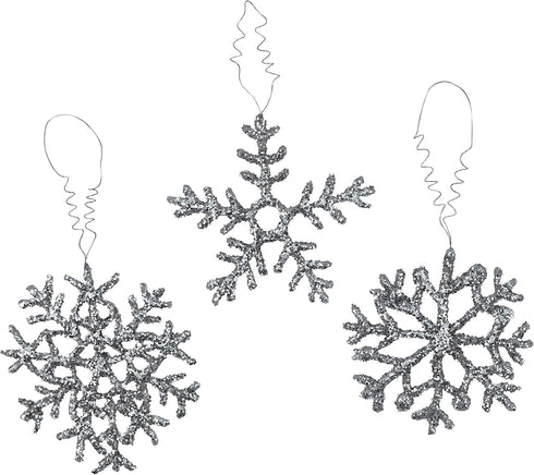 Spectra Arts & Crafts Glitter, Silver, 4 oz., 1 Jar...