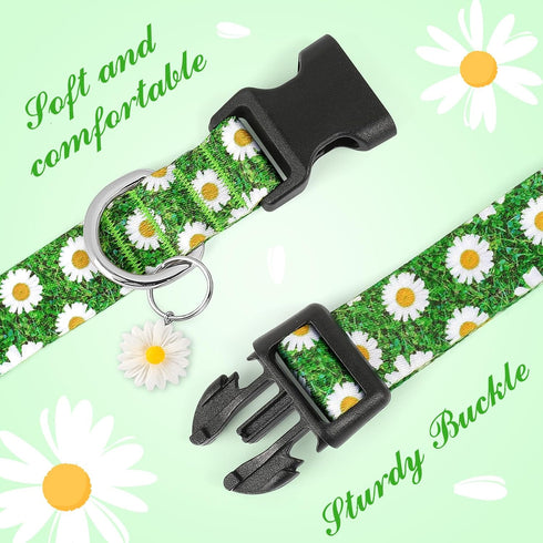BiPawTi Green Dog Collar for St. Patrick's Day, Cute Flower Puppy Collar for Extra Small Dog, Floral Spring Dogs Collar for Small Dogs with Pretty...
