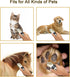 2 in 1 Pet Paw Hair Trimmer for Medium and Large Dogs Electric Multi Cat Hair Clipper for Thick Coat Cordless Puppy Grooming Clippers Rechargeable...