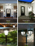 LOHAS Dusk to Dawn Light Bulbs Outdoor, Light Sensor Bulb 60W Equivalent, A19 LED Bulb Daylight 5000K, 9W Photocell Sensor LED, 900LM Auto On/Off ...