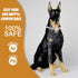 Dog Chain Collars Stainless Steel Dog Collar 10mm Cuban Link Dog Collar Metal Dog Chain with Snap Buckle Dog tag for Puppy Small Medium Large Dogs...