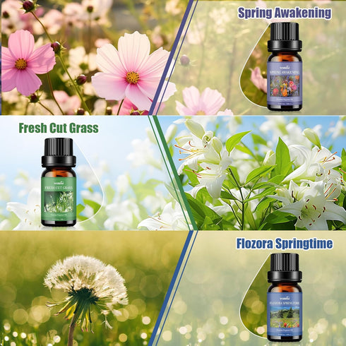 Essential Oils Set, Spring Scents Fragrance Oil Essential Oils for Diffuser Aromatherapy Oils - Spring Awakening, Fresh Cut Grass, Flozora Springt...