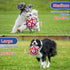 Dog Balls, Interactive Dog Toys for Tug of War, Dog Soccer Ball with 9 Nylon Straps for Indoor Outdoor, Dog Toys for Small Dogs & Medium Gift for ...