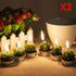 Handmade Delicate Succulent Cactus Candles for Birthday Party Wedding Spa Home Decoration(12 Packs-2)...