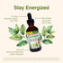Herbs Etc. ChlorOxygen Chlorophyll Concentrate - Highly-Concentrated Energy Support - Aids Healthy Blood Circulation - Natural Vitality Support - ...