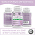 GENEX Fisetin 100mg/Serving (60 Capsules) | Antioxidant That Supports Healthy Aging and Brain Wellness - Non-GMO, Gluten Free, Vegetarian - 2 Mont...