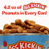 ASS KICKIN' Roasted Spicy Hot Peanuts – 4.25 oz - Ultimate Spicy Gourmet Gift Peanuts - Try if you dare! (Habanero Honey)...