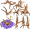 8 Pack Natural Driftwood for Aquarium, Aquarium Decor Spider Wood Freshwater Fish Tank Reptile Driftwood Branch (3.15"- 4")...