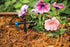 Rain Bird SW05-10PS Drip Irrigation Spot Watering Dripper/Emitter, 0.5 (1/2) Gallon Per Hour, 10-Pack...