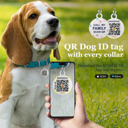 BRONZEDOG Rolled Leather Dog Collar for Small Medium Large Dogs with QR ID Tag (M: 14-16 Inch, Teal)...