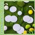 24 Pcs Golf Sticky Notes Personalize Golf Ball Sticky Note Pad Golf Ball Decoration Favors Golf Themed Gifts for School Office Coworkers Students ...