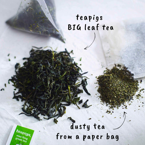 Teapigs Mao Feng Green Tea Tea Made With Whole Leaves (1 Pack of 15 Tea Bags) (506)...