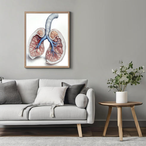 Posterizer 1 pcs-detailed anatomical illustration of the human lungs 1-Teachers & Classrooms-Abstract & Modern Art-School and classroom art- unfra...
