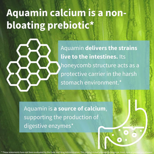 Live Cultures+ Lab4 Probiotics & Prebiotic, Vegan, Non-GMO, Lactobacillus Acidophilus & Bifidobacterium, Guaranteed 25 Billion CFU, Non-Bloating G...