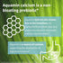 Live Cultures+ Lab4 Probiotics & Prebiotic, Vegan, Non-GMO, Lactobacillus Acidophilus & Bifidobacterium, Guaranteed 25 Billion CFU, Non-Bloating G...