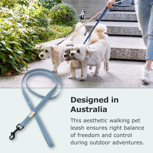 FuzzYard Life Dog Lead | Size L | Stylish Premium Cotton Design in French Blue Perfect for Everyday Walking and Training...