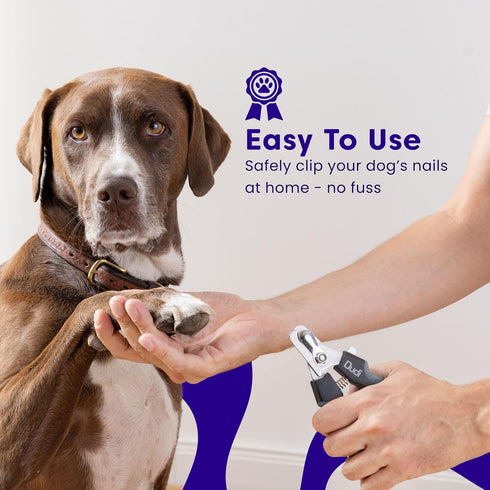 Pet Dog Nail Clippers for Large Dogs Thick Nails - Heavy Duty Dog Nail Trimmers with Razor Sharp Blade and Easy to Use Dog Nail File with Safety G...