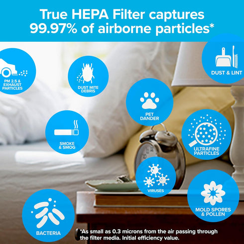 Filtrete™ Advanced Allergen, Bacteria & Virus True HEPA Air Purifier Filter, FAPF-HM-K, 1 Pack...