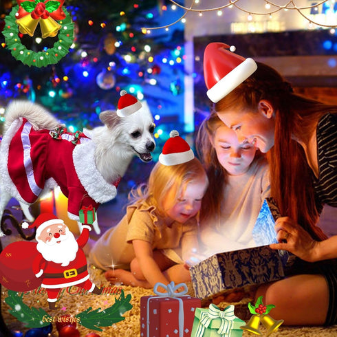 Dog Christmas Dress Costume Pet Santa Claus Clothes Velvet Dresses Puppy Winter Cold Weather Coat Xmas Holiday Outfit Kitty Clothing Red Skirt App...