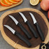 BEWOS Paring Knife, Curved Blade Paring Knife Set of 4, Ergonomic Handle, Ultra Sharp Kitchen Knife, Classic Black PP Plastic Handle, Fruit Knife ...