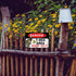 Funny Beware of Dog Sign Private Property No Trespassing Warning Signs, Danger T-Rex Area Keep out, Yard Sign Garage Farm Garden Wall Decor Sign P...