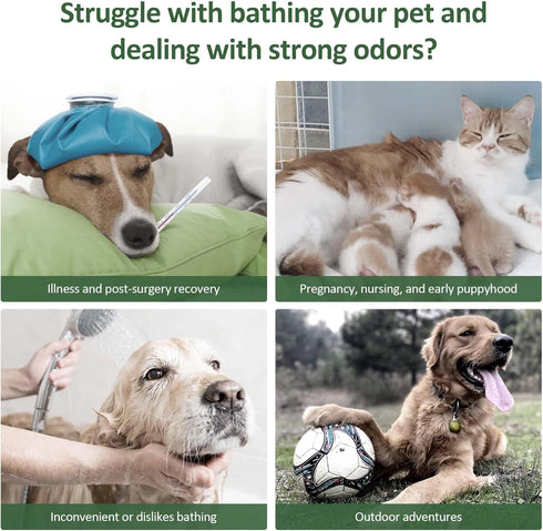 ORDORA Pet Cleaning Gloves for Dogs and Cats?Cleaning & Deodorizing Grooming Gloves, 12 Pack - All-in-One Grooming Solution for Daily Care and Tra...