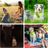 2 Pcs Reflective Dog Bandana with Neon Orange Green Color High Visibility Reflective Dog Scarf Safety Dog Reflective Gear Hook and Loop Tape Trian...