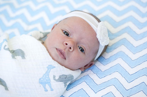 SwaddleDesigns Marquisette Receiving Swaddle Blanket for Baby Boys & Girls, Soft Premium Cotton Muslin, Best Shower Gift, Blue Safari Fun, Parent ...