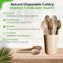 Palm Leaf Spoons 6 Inches (50 Count) | Bamboo Spoons like Natural Eco-friendly Compostable Disposable Cutlery Alternative to Plastic Spoons for We...