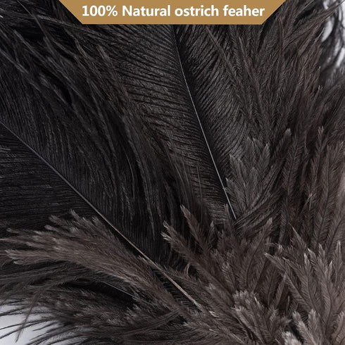 Ostrich Feather Duster, 16 inch Black Genuine Ostrich Feathers with Wood Handle, Reusable Car Dusters, Eco-Friendly Cleaning Handheld Dusters for ...